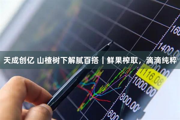 天成创亿 山楂树下解腻百搭｜鲜果榨取，滴滴纯粹